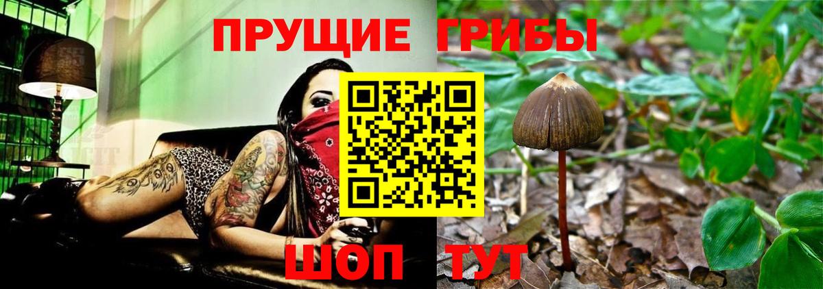купить наркотик  Псилоцибиновые грибы ЛСД  Холмск  Вход с VPN  Псилоцибиновые грибы MAGIC MUSHROOMS 